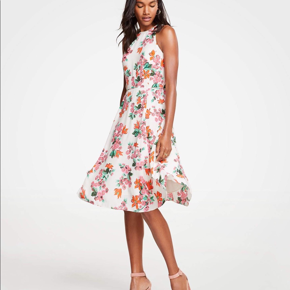 Ann Taylor dress